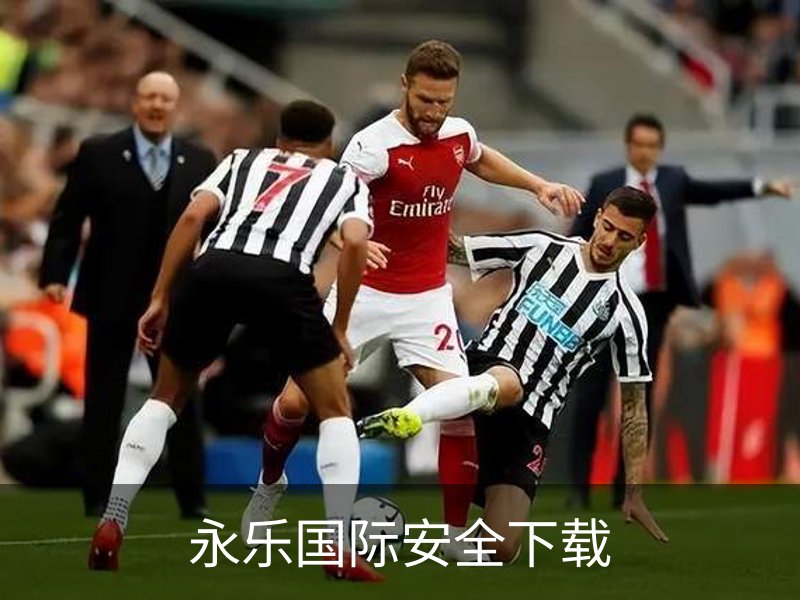 关于永乐国际安全下载